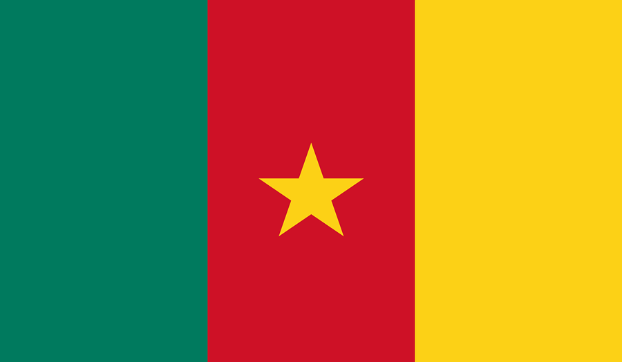 Cameroon Flag Image