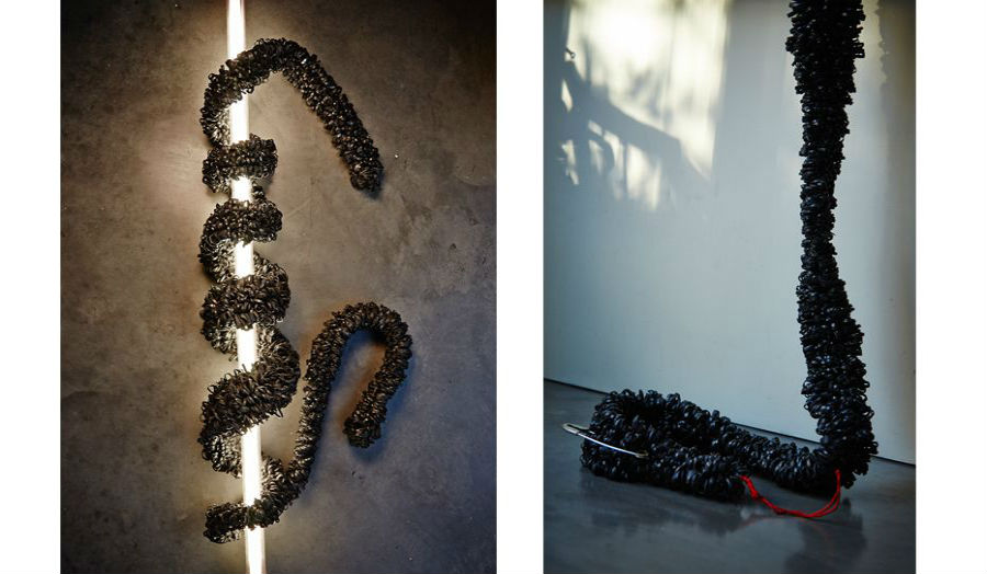 Frances Safari The Black Rubber Johnny Stole Noteable Objects