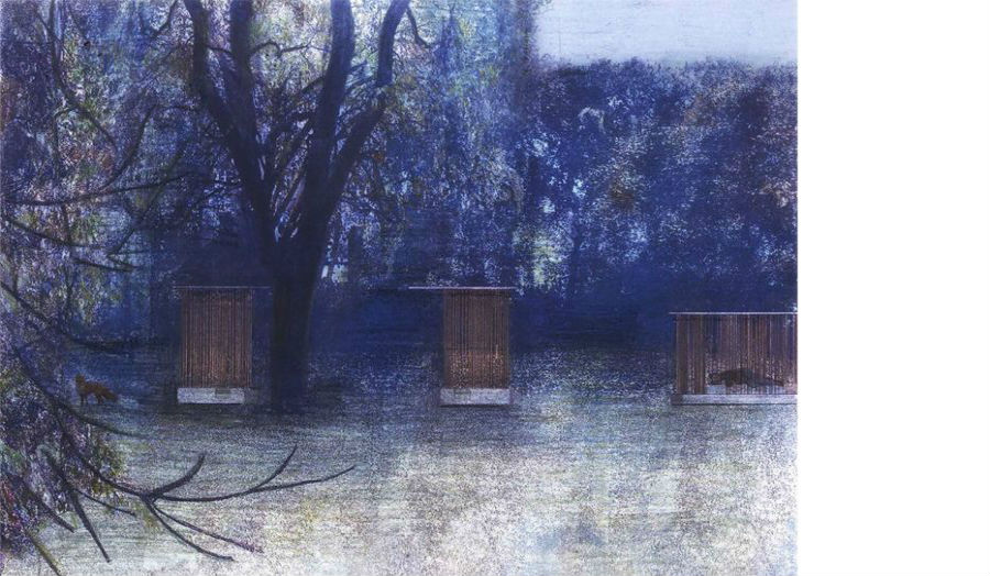 View night time Unit 10