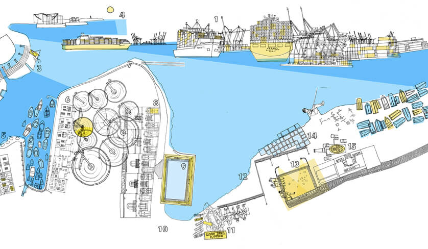 Picture representing Cristina Gerada