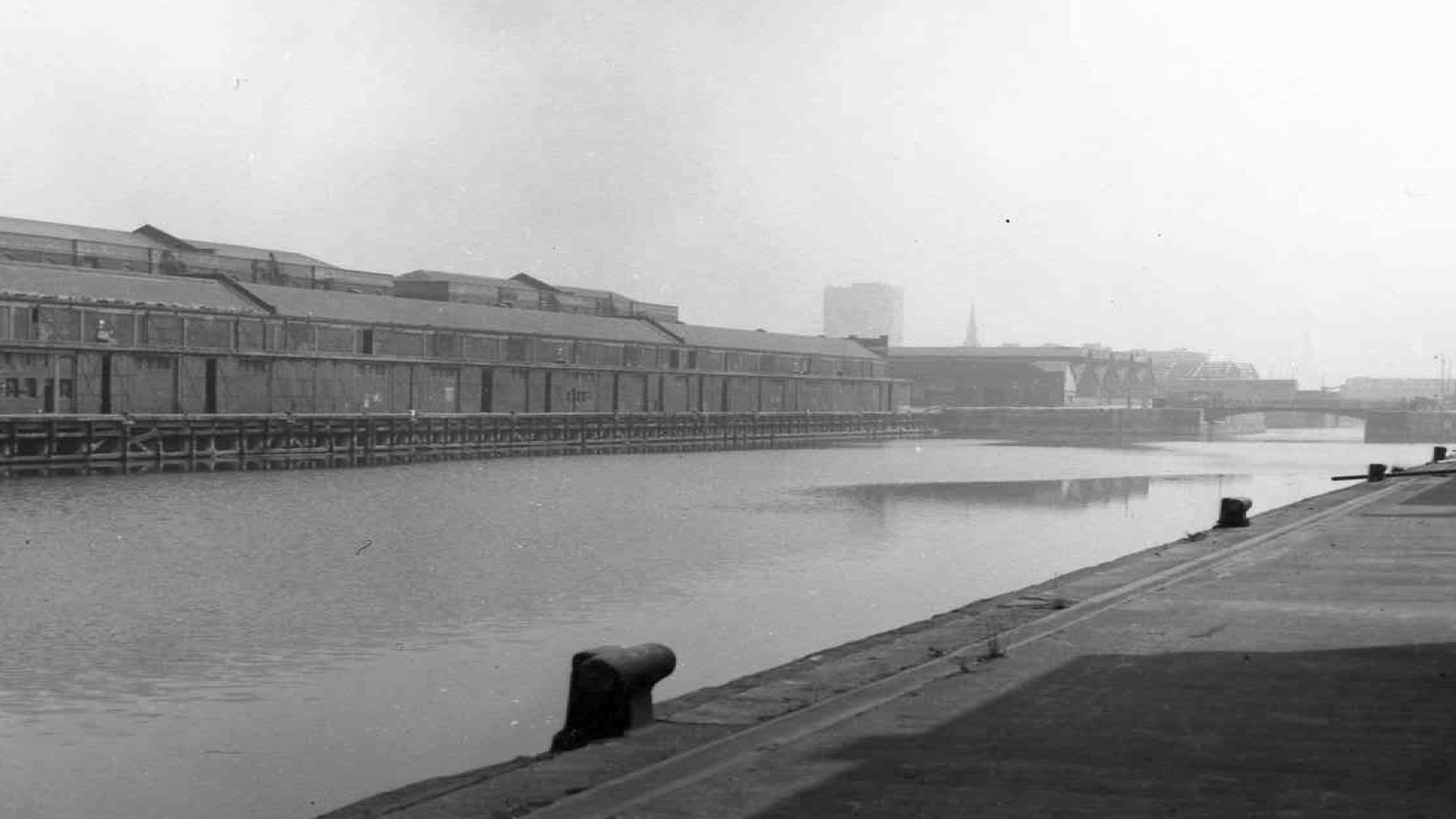 Ektoras Arkomanis 03