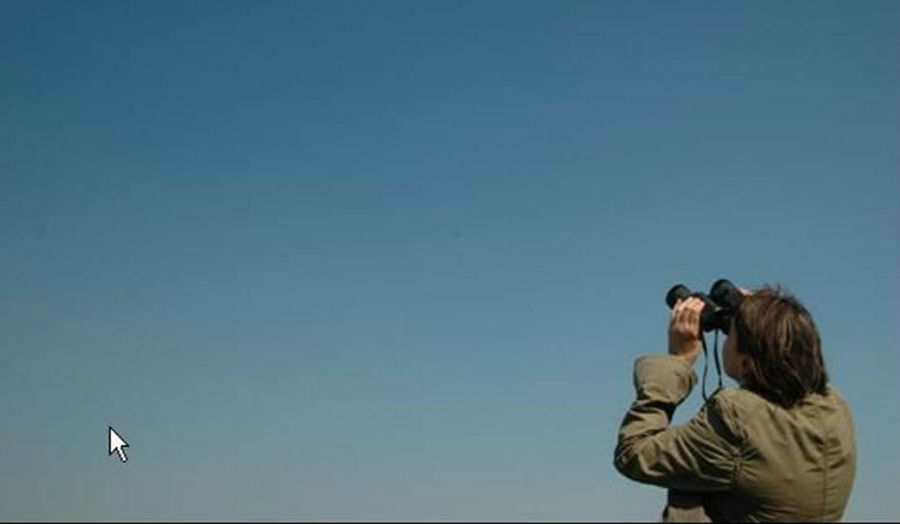 Subbuteo Subbuteo
The Hobby