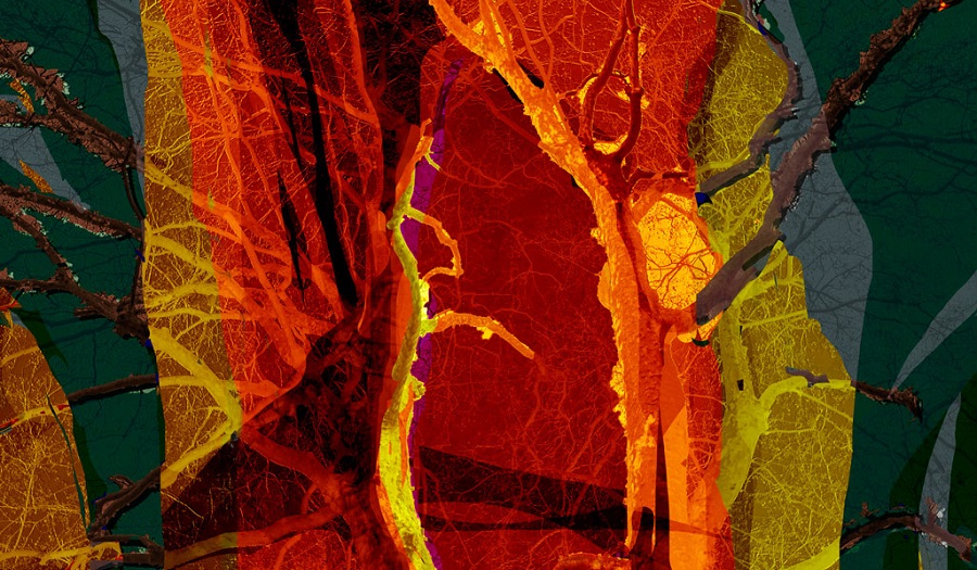 abstract image of leaves and branches