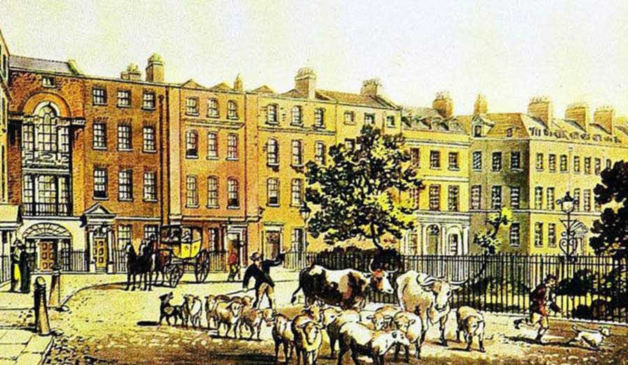 Networks of Making and Habitation