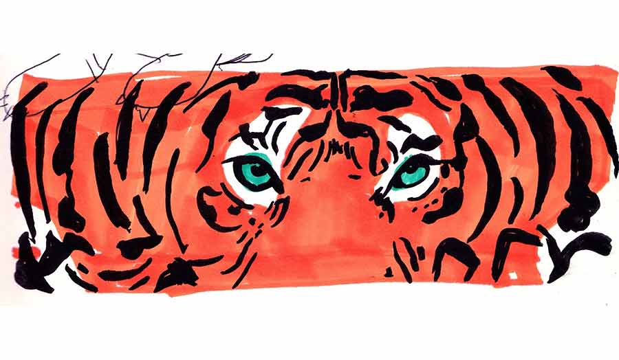 Close up graphic of a tiger's face