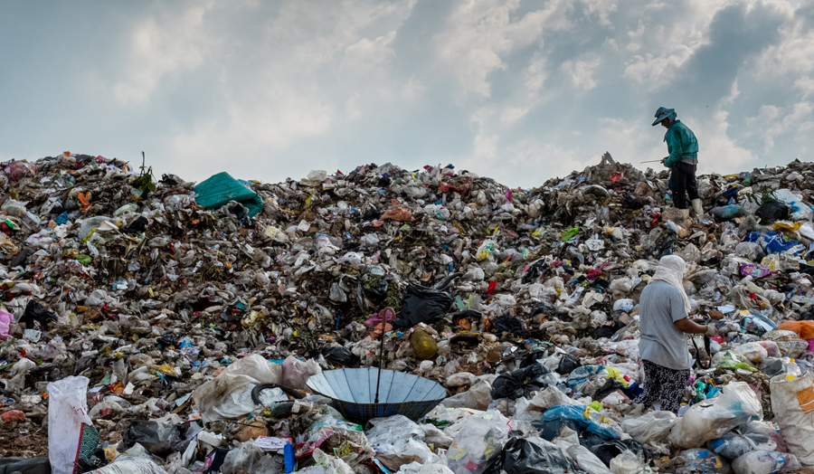 3D Studio 4: HARVEST