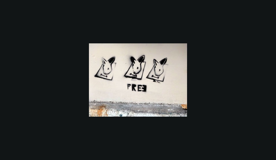 Graffiti, Venice, 2013