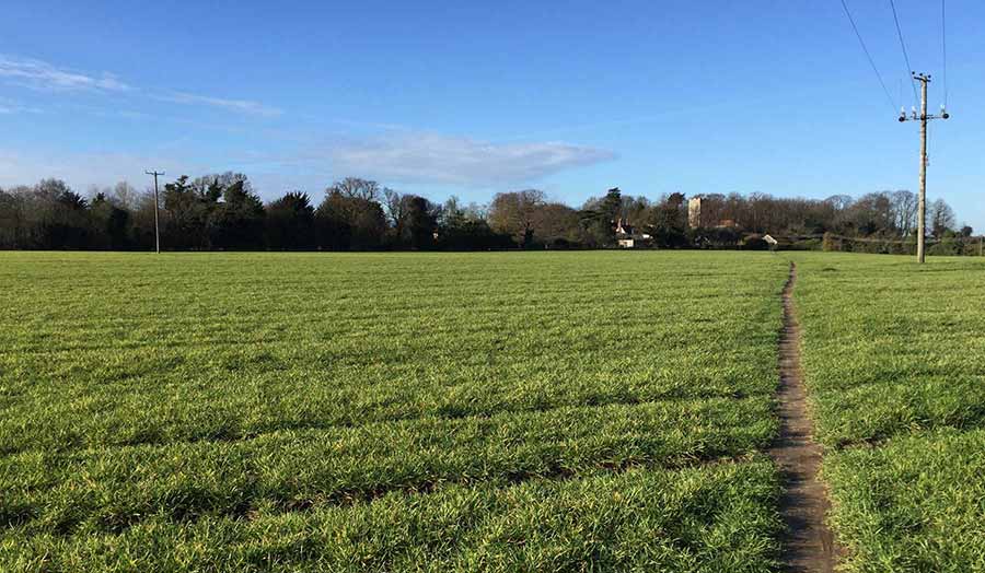 A desire path across a green field