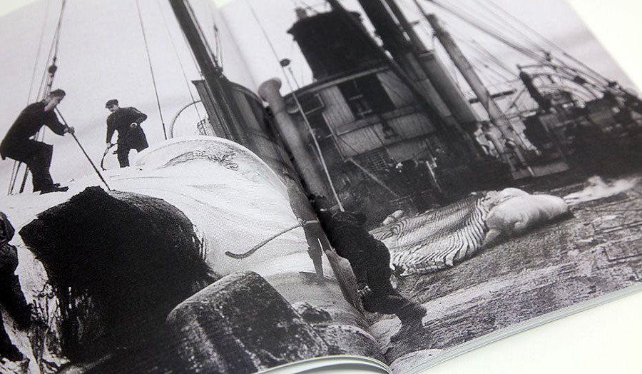 The Reflective Eye
Design
Heather McDonough & Spencer Rowell