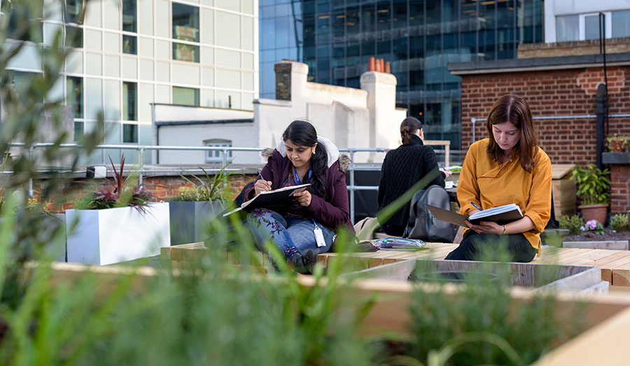 Calcutta roof terrace