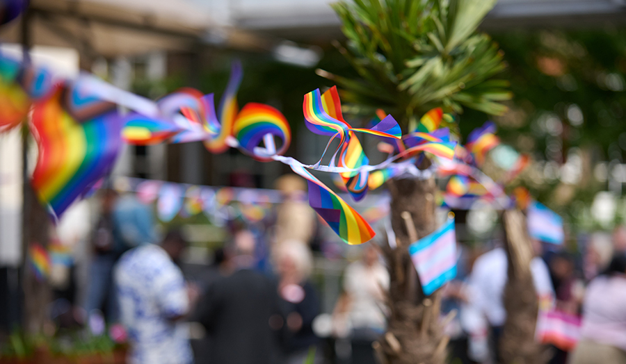 A Pride BBQ at Holloway Road showing flags