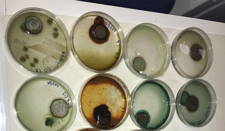 Bacteria on coins (embargoed until 3 October 2018)