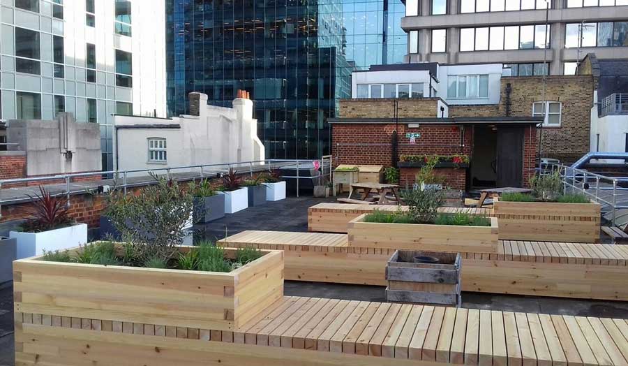 Calcutta House roof garden