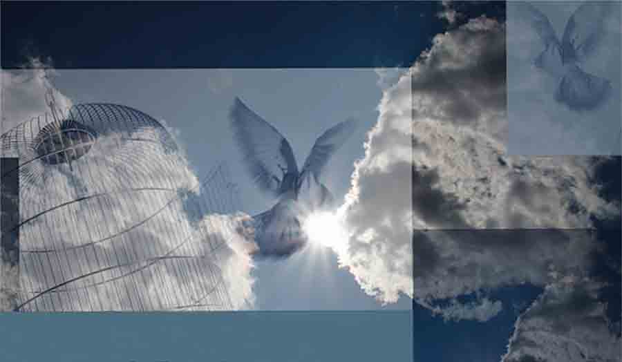 Book cover containing an image of blue sky with some passing clouds and a flying bird