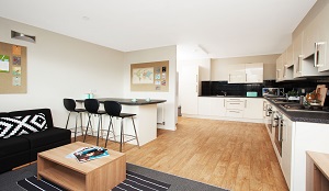 NL 300x174 kitchen Oct 2015