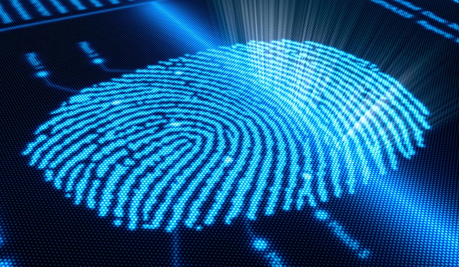 Fingerprint identification
